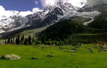 Ecstatic 7 Days Srinagar,anywhere to Sonmarg Holiday Package