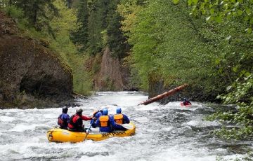 Best 5 Days 4 Nights naldehra Trip Package