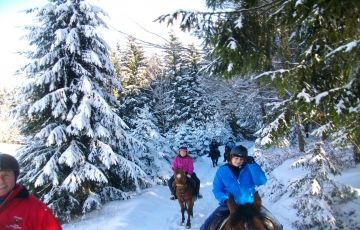 Beautiful 7 Days 6 Nights New Delhi, shimla, manali with Chandigarh Vacation Package