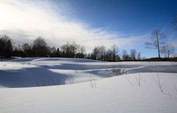 Best 7 Days 6 Nights Gulmarg Tour Package