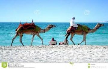 Amazing 4 Days 3 Nights Dubai Holiday Package