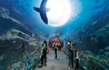 Magical Dubai Tour Package for 4 Days 3 Nights