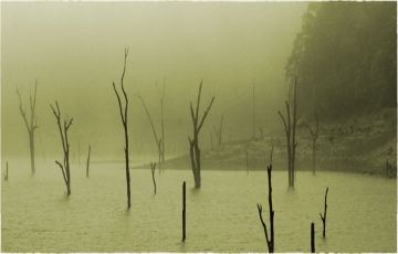 Amazing 2 Days 1 Night Munnar, Thekkady with Alleppey Vacation Package