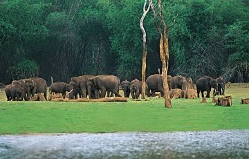5 Days 4 Nights Cochin, Munnar, Alleppey and Thekkady Tour Package