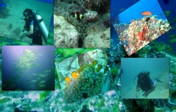 Pleasurable 4 Days 3 Nights Port Blair, Havelock Island, Ross Island with Chidiya Tapu Vacation Package