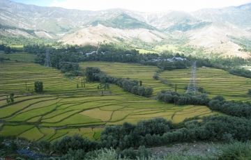 Pleasurable 3 Days 2 Nights Shimla Vacation Package