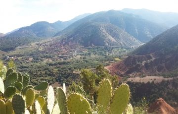 Experience 6 Days 5 Nights Marrakesh, Atlas Mountains and Essaouira Vacation Package