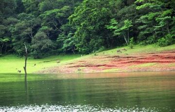 Amazing 5 Days 4 Nights Thekkady and Munnar Holiday Package