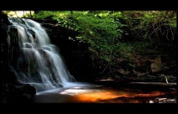 Amazing 5 Days 4 Nights Thekkady and Munnar Holiday Package