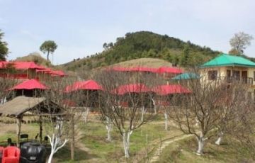 Heart-warming 3 Days 2 Nights Chandigarh, Shimla, chail and koti Vacation Package