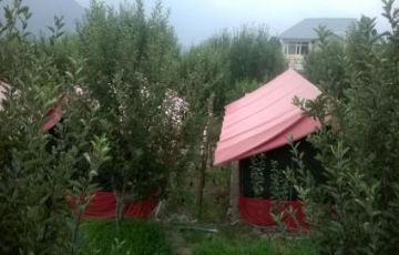 Heart-warming 3 Days 2 Nights Chandigarh, Shimla, chail and koti Vacation Package