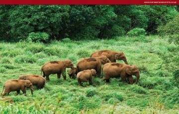 Pleasurable Alleppey Tour Package for 7 Days 6 Nights