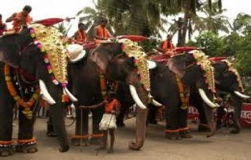 Magical 7 Days 6 Nights Kerala Trip Package