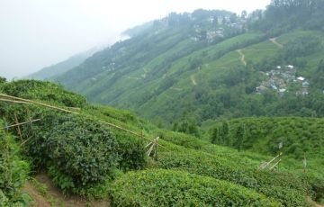 Best 4 Days 3 Nights Darjeeling with Kalimpong Trip Package