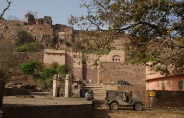 Heart-warming 3 Days 2 Nights Ranthambore Holiday Package