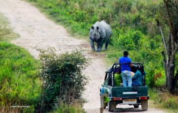 Kaziranga Tour
