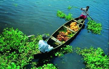 Ecstatic 5 Days 4 Nights Cochin, Munnar and Alleppey Tour Package