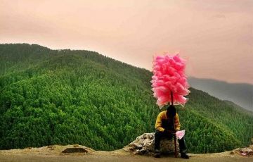 3 Days 2 Nights Shimla, kufri and Green valley Vacation Package