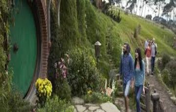 11 Days New Delhi to Auckland Trip Package