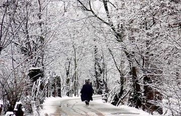 7 Days 6 Nights Srinagar, Pahalgam and Gulmarg Trip Package