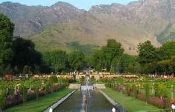 Amazing 9 Days 8 Nights Gulmarg Vacation Package