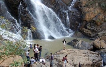 Best 9 Days 8 Nights Palakkad, Mysore, Emarald with Mettupalayam Vacation Package