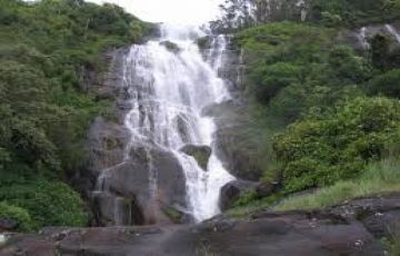 Magical 4 Days 3 Nights Munnar and Cochin Trip Package