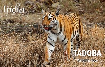 Amazing 3 Days 2 Nights Nagpur Trip Package