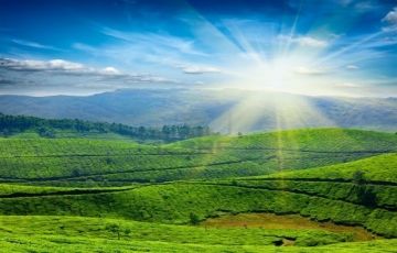 Magical 5 Days 4 Nights Munnar, Thekkady with Alleppey Vacation Package