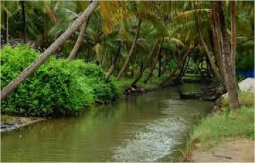 7 Days 6 Nights Munnar, Thekkady, Alleppey, Kovalam with Trivandrum Holiday Package