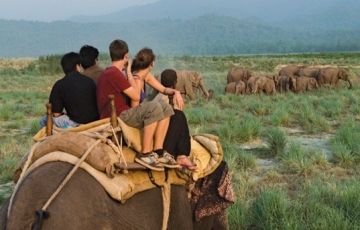 Experience 3 Days 2 Nights Haridwar, Rishikesh and Rajaji National Park Tour Package