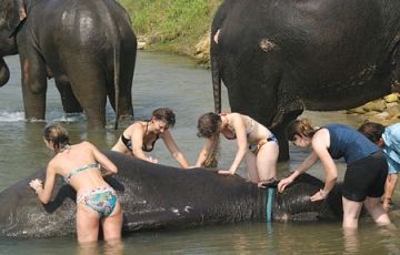 8 Days Kathmandu to Chitwan Trip Package