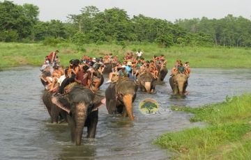 8 Days Kathmandu to Chitwan Trip Package