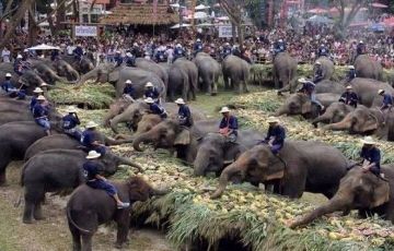 Beautiful 7 Days 6 Nights Chitwan Trip Package