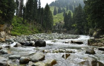 Best 6 Days 5 Nights Gulmarg Tour Package