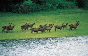 Magical 8 Days 7 Nights Trivandrum, kovalam, Munnar, Thekkady and Alleppy Vacation Package