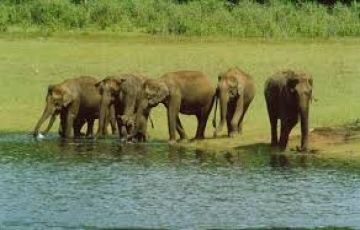 Beautiful 7 Days 6 Nights Alleppy Vacation Package