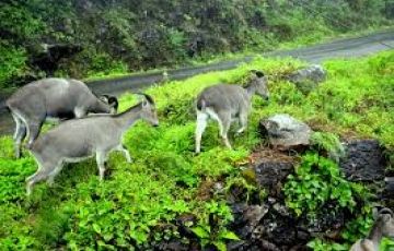 Beautiful 7 Days 6 Nights Alleppy Vacation Package