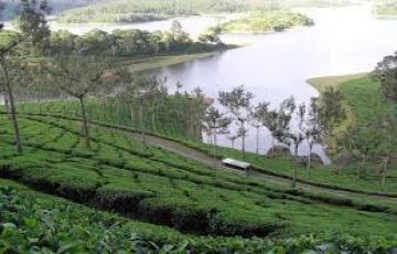 Kerala Holiday Package 3 Days