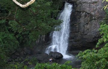 3 Days 2 Nights Wayanad with Calicut Holiday Package