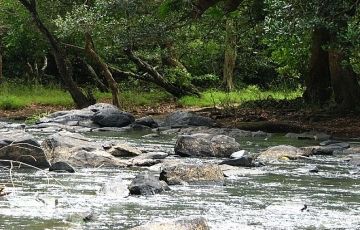 3 Days 2 Nights Wayanad with Calicut Holiday Package