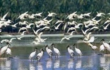 Pleasurable 6 Days 5 Nights Alleppey Tour Package