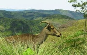 Pleasurable 6 Days 5 Nights Alleppey Tour Package