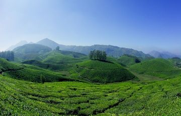 Beautiful 4 Days 3 Nights Munnar and Alleppey Trip Package