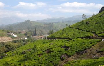 Memorable 5 Days 4 Nights Cochin Holiday Package