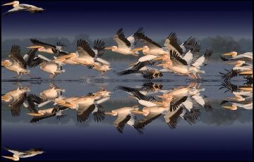 Magical 5 Days 4 Nights Danube Delta and Tulcea Vacation Package