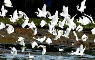 Experience 7 Days 6 Nights Munnar Vacation Package