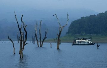 Ecstatic 6 Days 5 Nights Munnar, Thekkady, Alleppey with Kochi Holiday Package