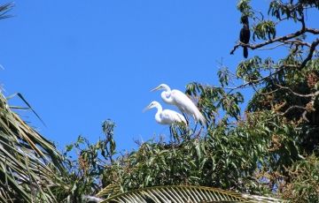 Ecstatic 7 Days 6 Nights Livingston Trip Package