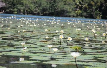 Ecstatic 7 Days 6 Nights Livingston Trip Package